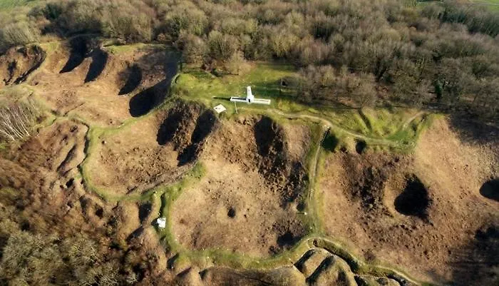 Отель Le Bras D'or